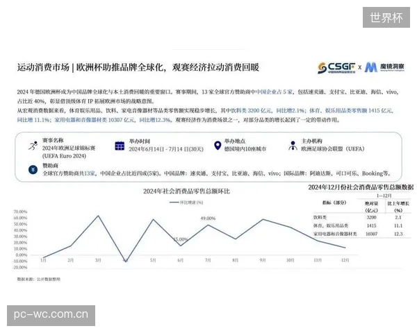 国内超过85%的体育赛事IP收入过度依赖商业赞助，这一脆弱的收入结构被多数并购风险评估模型所忽略